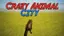 Crazy Animal City game cover image