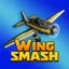 Wing Smash game cover image